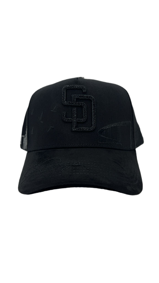 SD San Diego CVH