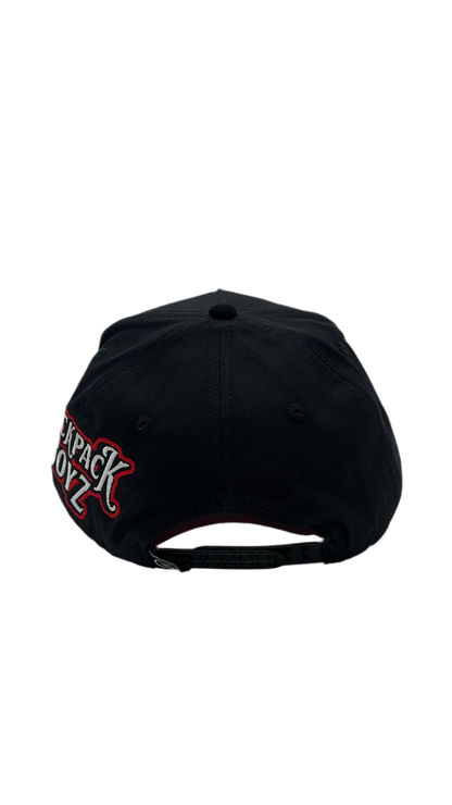 BackPack Boys CVH