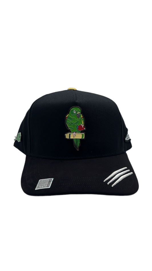 Perico Negro BB