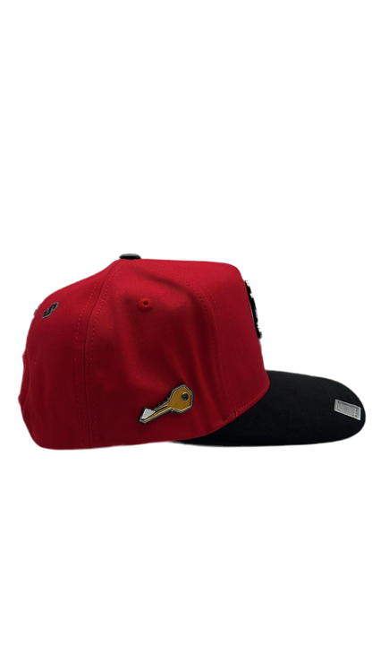 Perico Rojo BB