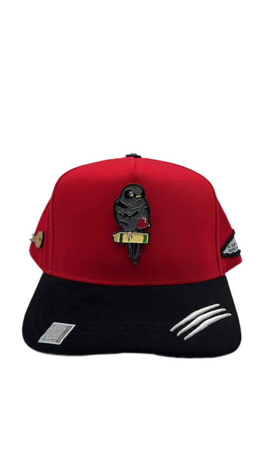 Perico Rojo BB