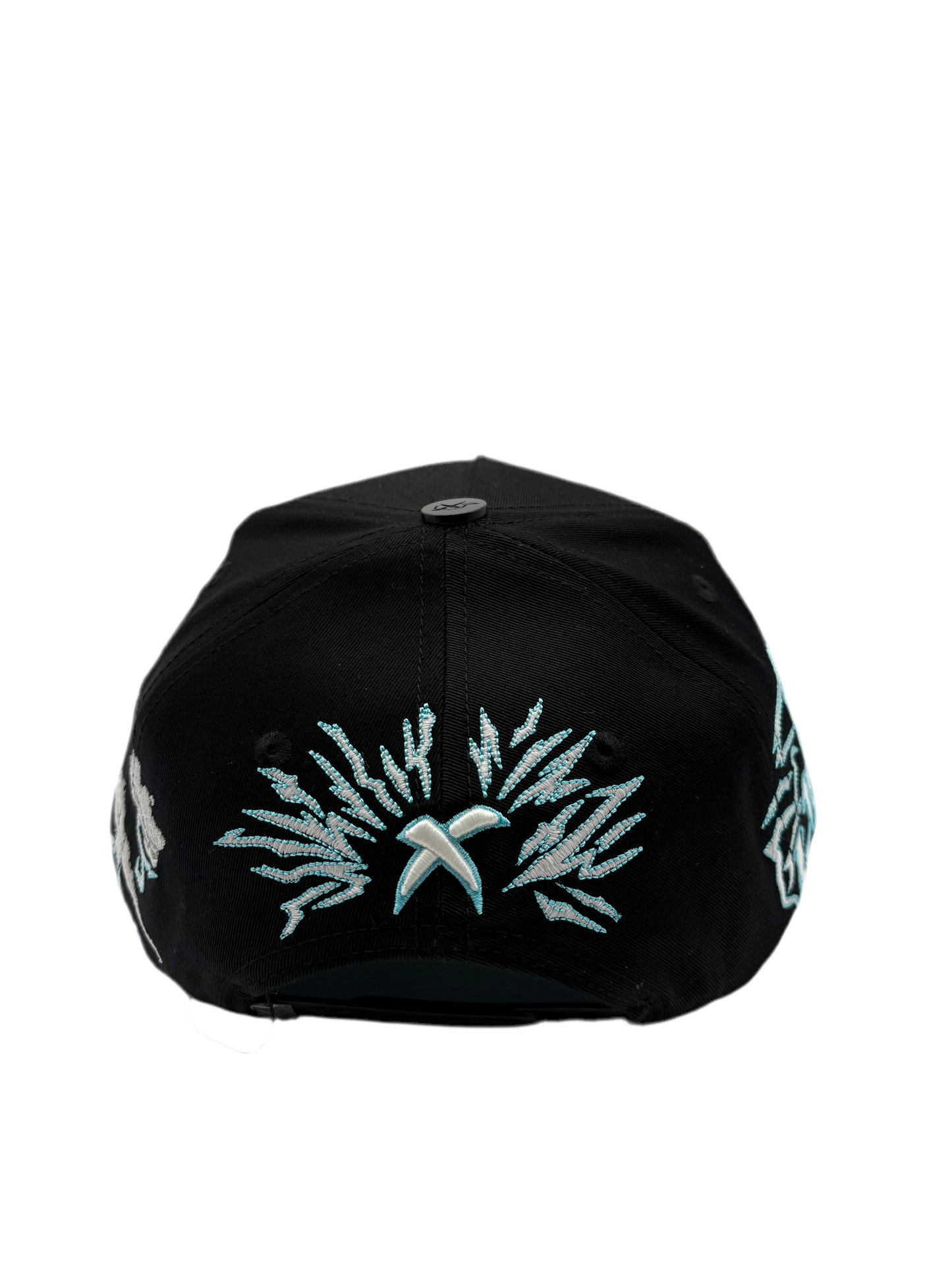BIG DREAMS X CAP